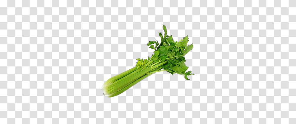 Celeri Download Food Free, Plant, Vegetable, Broccoli, Vase Transparent Png