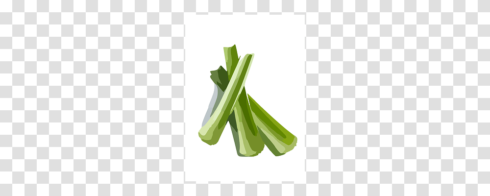 Celery Plant, Vegetable, Food, Produce Transparent Png