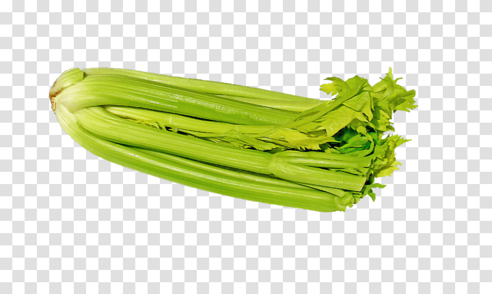 Celery 960, Vegetable, Plant, Green, Produce Transparent Png