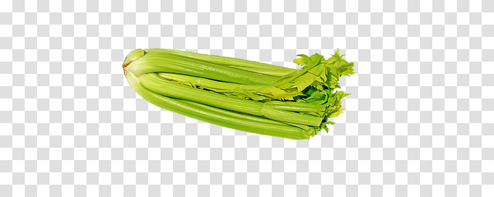 Celery Food, Plant, Produce, Vegetable Transparent Png