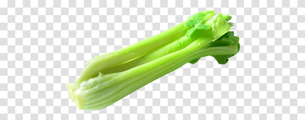 Celery Background Celery, Plant, Produce, Food, Vegetable Transparent Png