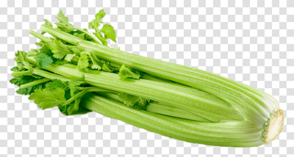 Celery Celery, Plant, Produce, Food, Vegetable Transparent Png