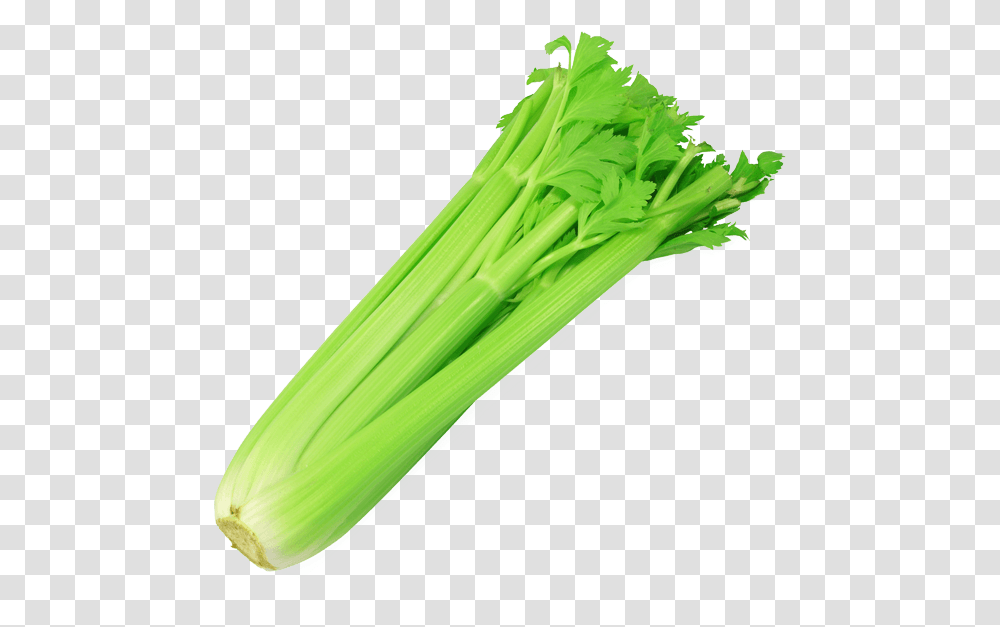 Celery Celery, Plant, Vegetable, Food, Produce Transparent Png