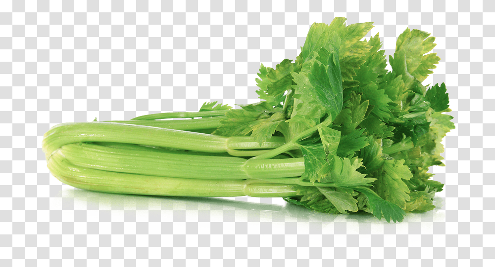 Celery Green Colour Vegetables Name, Plant, Food, Produce, Vase Transparent Png