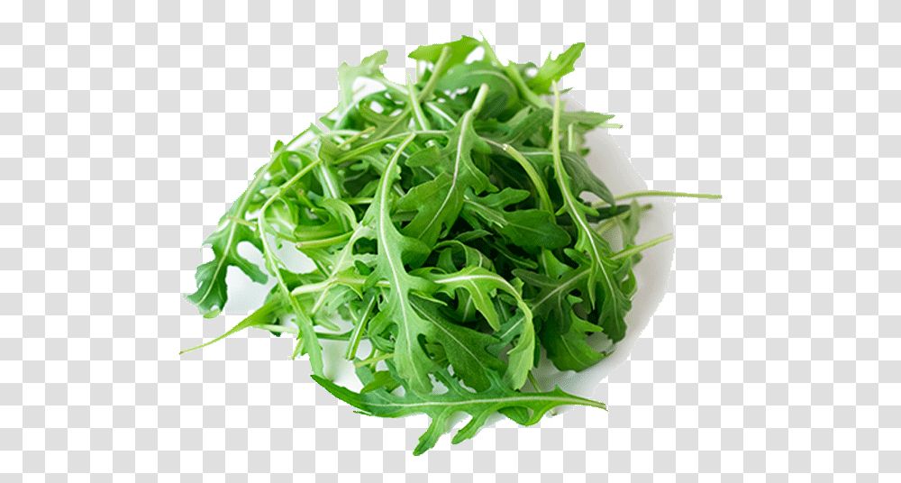 Celery Image Arugula, Plant, Produce, Food, Vegetable Transparent Png