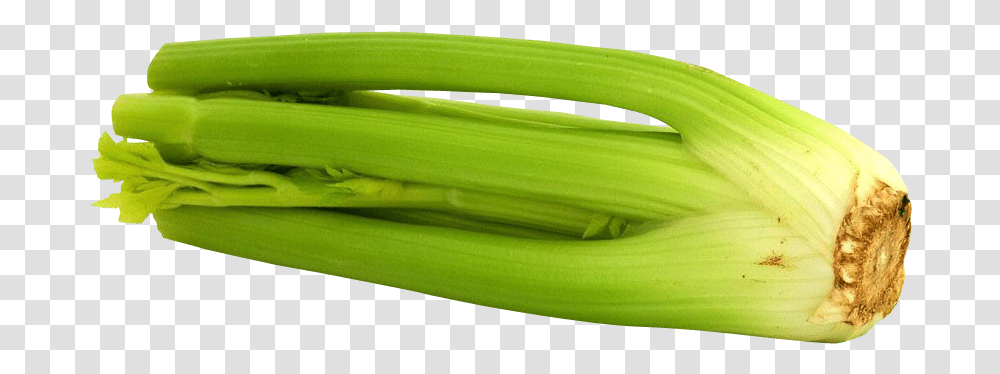 Celery Image Celery, Plant, Produce, Food, Vegetable Transparent Png