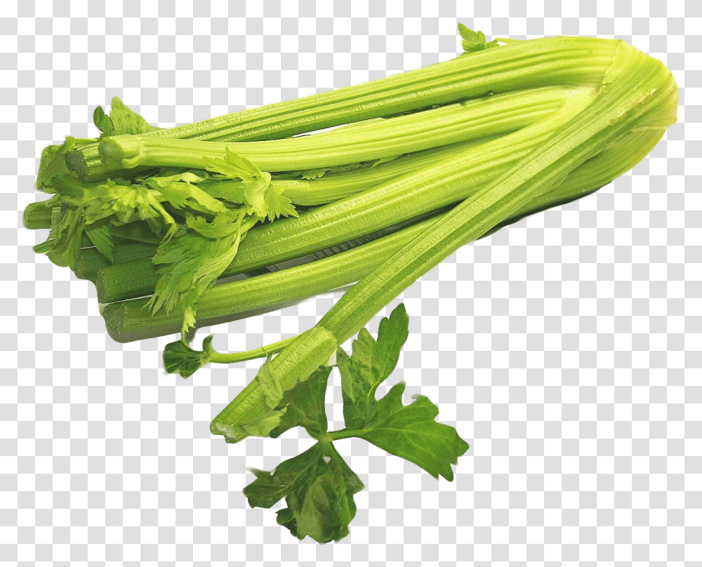 Celery Image For Free Download Celery, Plant, Produce, Food, Vegetable Transparent Png