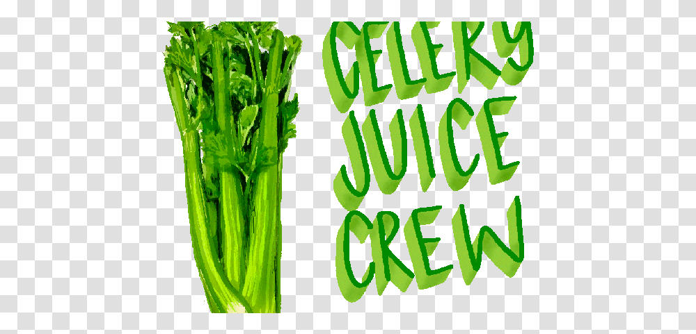 Celery Juice Is The Latest Trending Superfood, Plant, Vegetable, Text, Broccoli Transparent Png