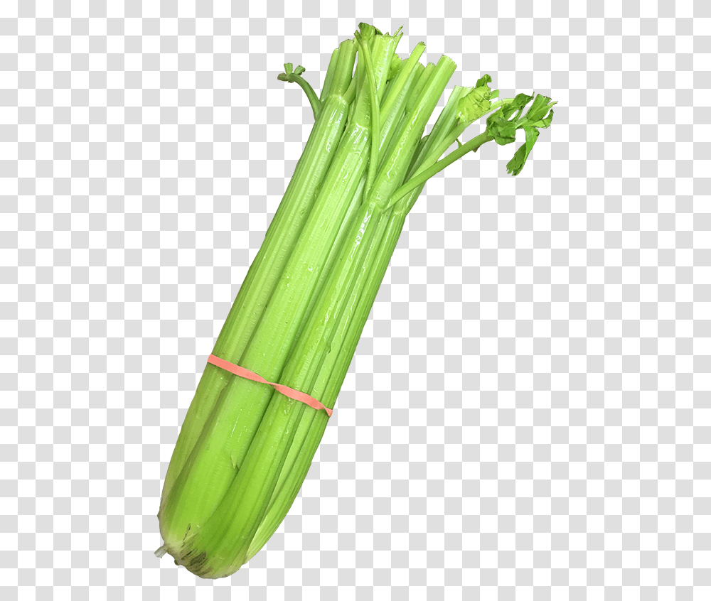 Celery Leek Leek, Plant, Vegetable, Food, Produce Transparent Png