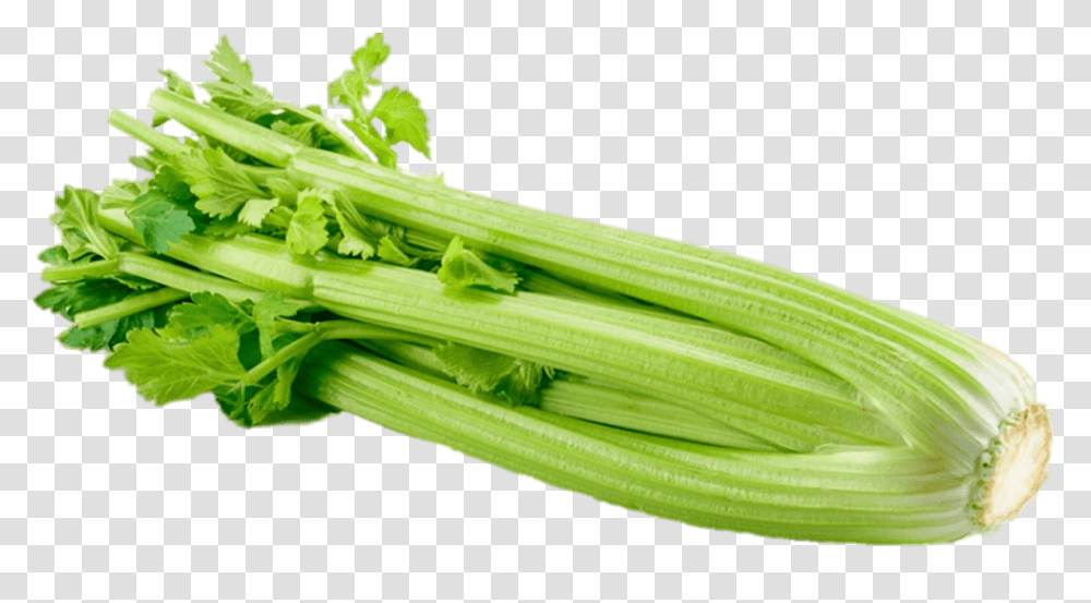 Celery, Plant, Produce, Food, Vegetable Transparent Png