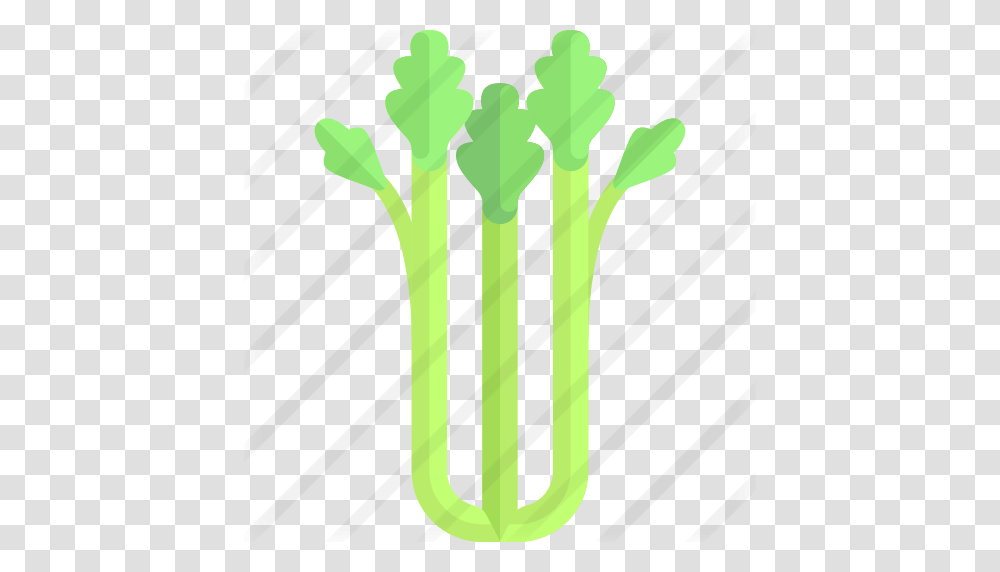 Celery, Plant, Vegetable, Food, Produce Transparent Png