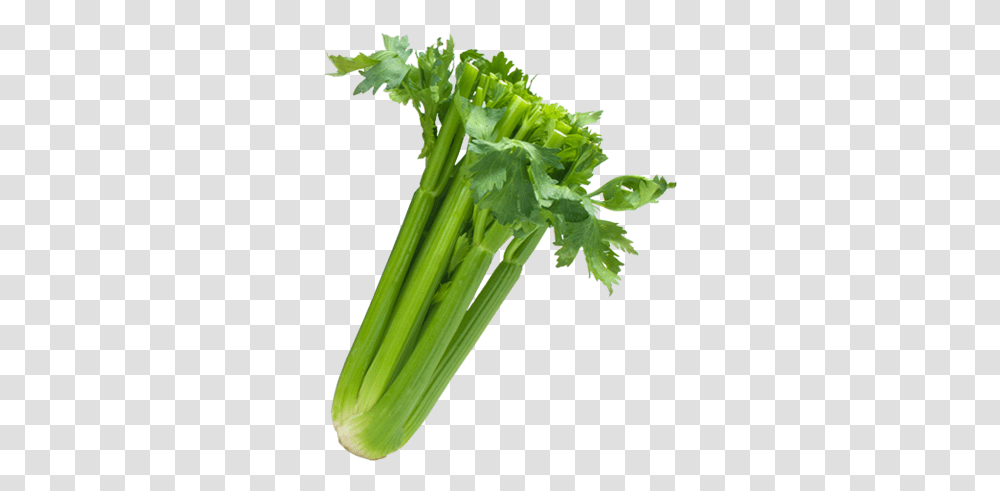 Celery Sleeved Image Black Celery, Plant, Vase, Jar, Pottery Transparent Png
