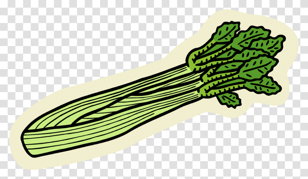 Celery Vegetable Stalk, Plant, Food, Produce, Carrot Transparent Png