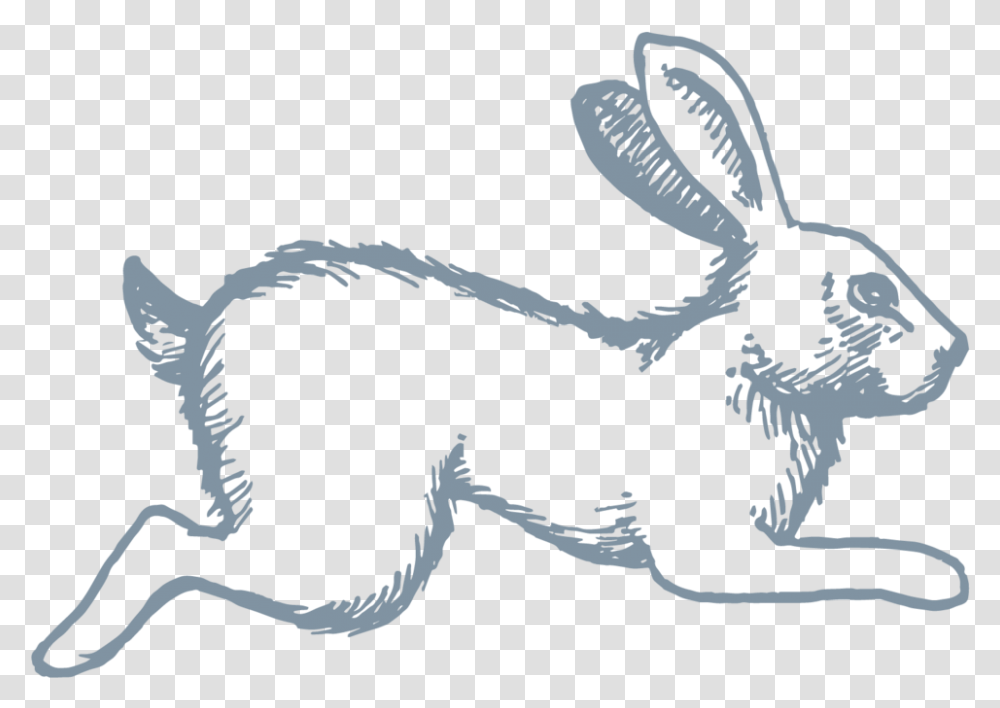Celeste Icon Rabbit Antelope Jackrabbit, Animal, Mammal, Rodent, Bunny Transparent Png