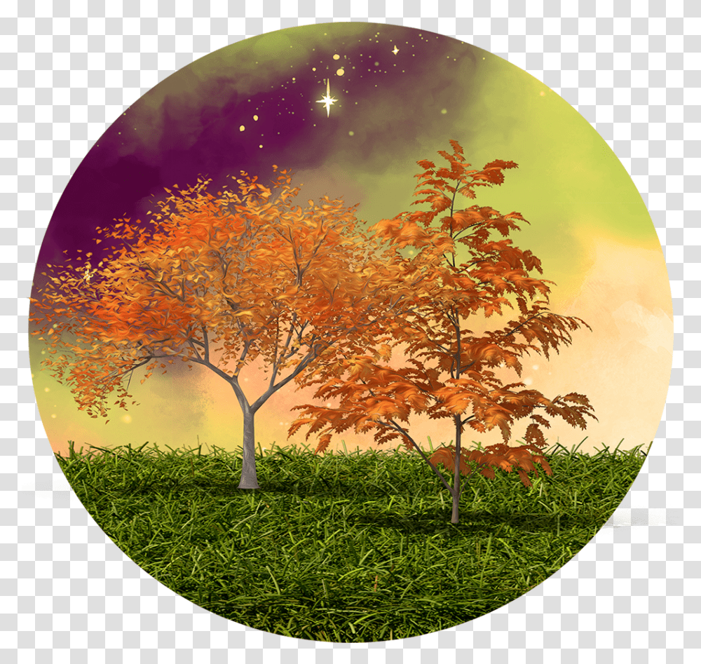 Celestial Autumn Scenery Clipart Round Tree, Plant, Painting, Leaf, Disk Transparent Png