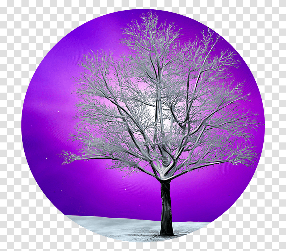 Celestial Winter Tree Clipart Ccclipartsorg Circle, Plant, Sphere, Purple, Pattern Transparent Png