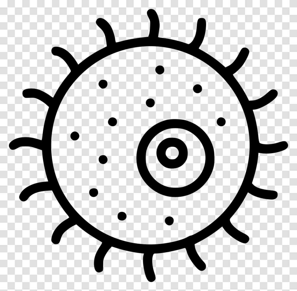 Cell Animal Plant Biology, Rotor, Coil, Machine, Spiral Transparent Png