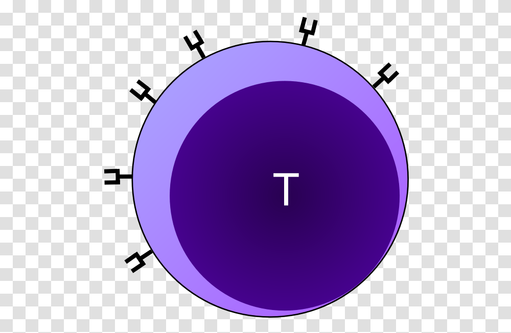 Cell Clip Art, Sphere, Diagram, Plot Transparent Png