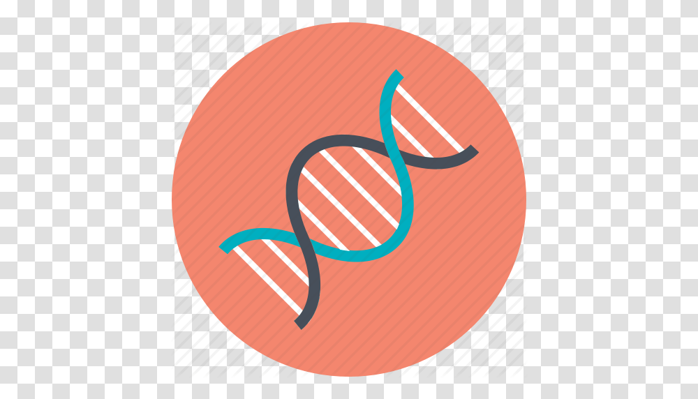 Cell Dna Dna Helix Dna Strand Genetic Icon, Label, Food, Sunglasses Transparent Png