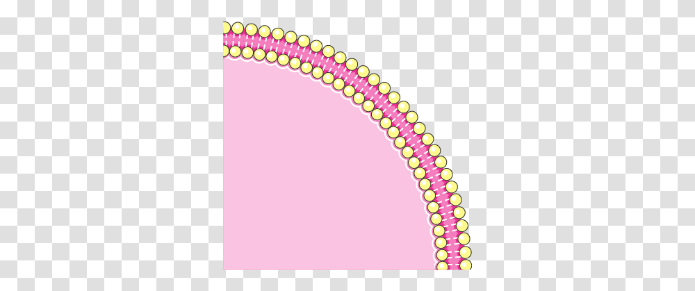 Cell Membrane Cell Wall, Bracelet, Jewelry, Accessories, Accessory Transparent Png