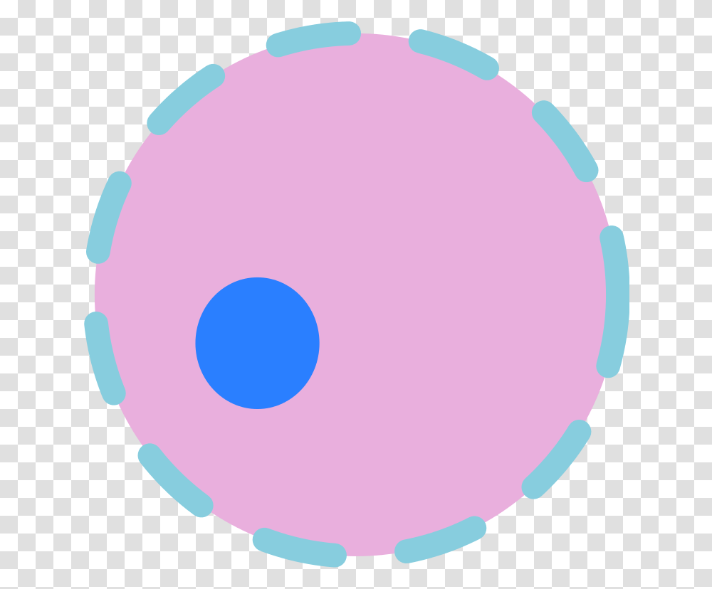 Cell Nucleus, Ball, Sphere, Balloon, Paper Transparent Png