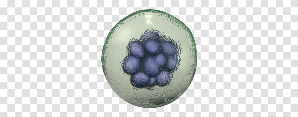 Cell, Sphere, Outer Space, Astronomy, Ball Transparent Png