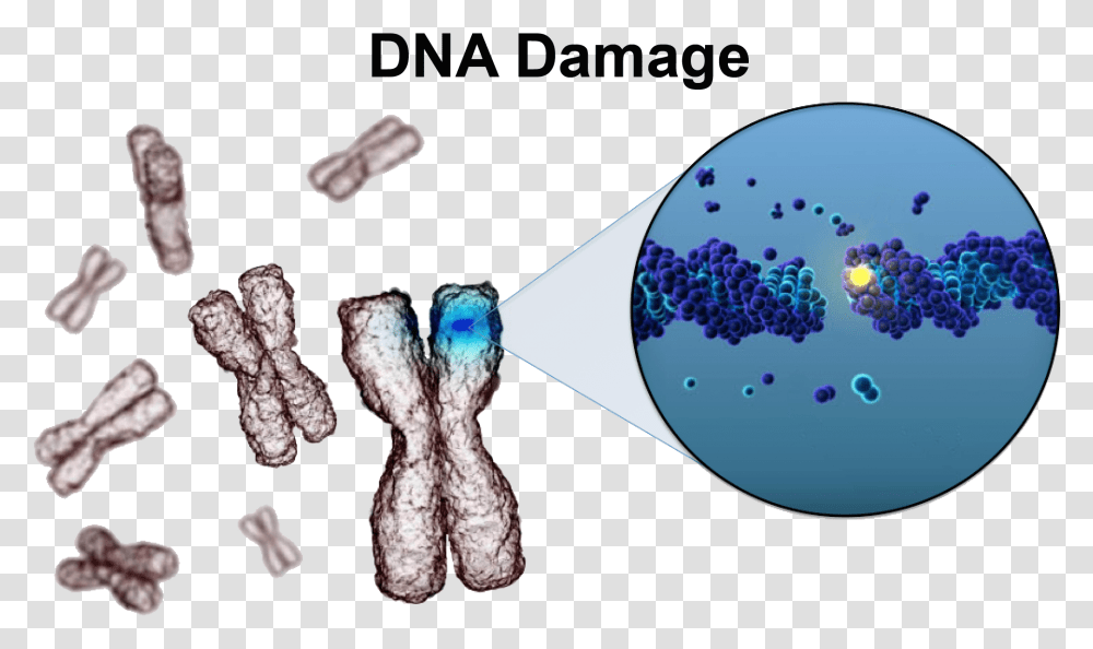 Cell With Damaged Dna, Nature, Outdoors, Alien Transparent Png