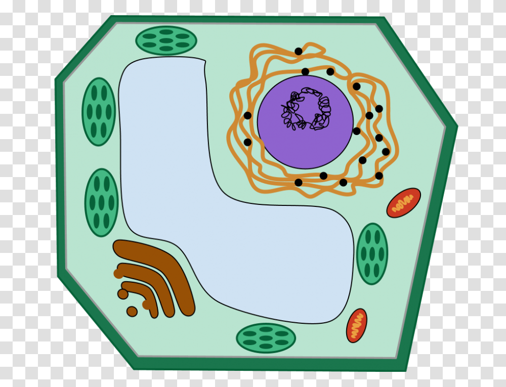 Cells And The Microscope, Plot, Diagram, Alphabet Transparent Png