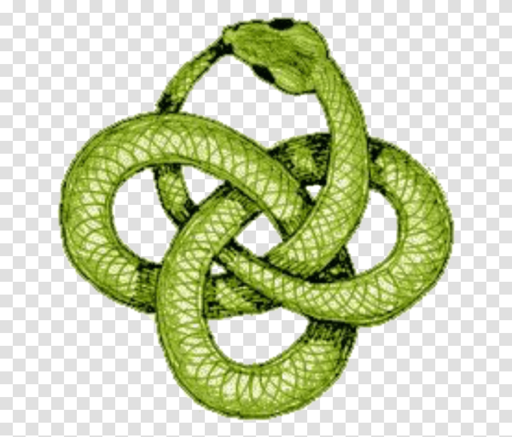 Celtic Snake Tattoo, Plant, Knot Transparent Png