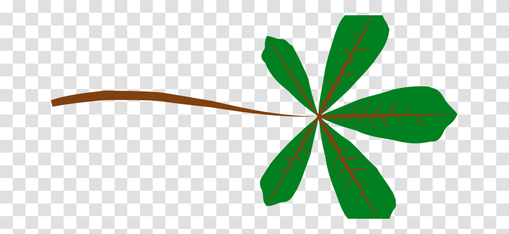 Cemkalyoncu Palmate Leaf (5 Lobed), Nature, Plant, Flower, Blossom Transparent Png