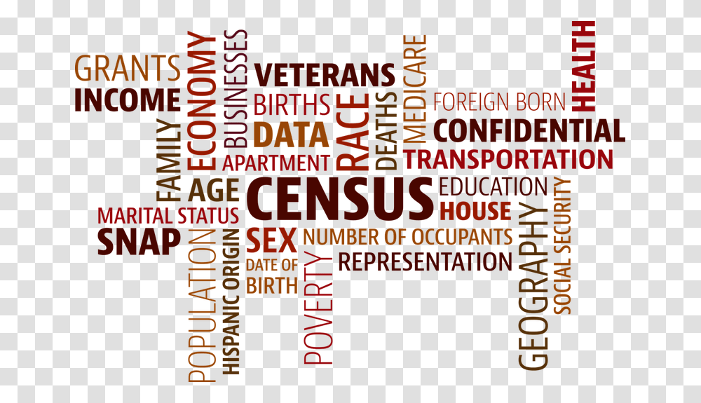 Census 2020 African American, Word, Label, Advertisement Transparent Png
