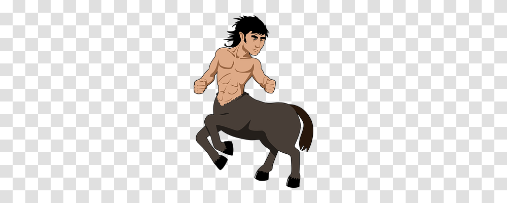 Centaur Person, Human, Animal, Mammal Transparent Png