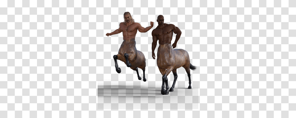 Centaur Person, Back, Horse, Mammal Transparent Png