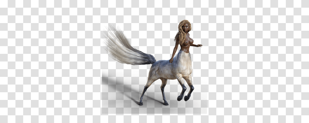 Centaur Person, Figurine, Horse, Mammal Transparent Png