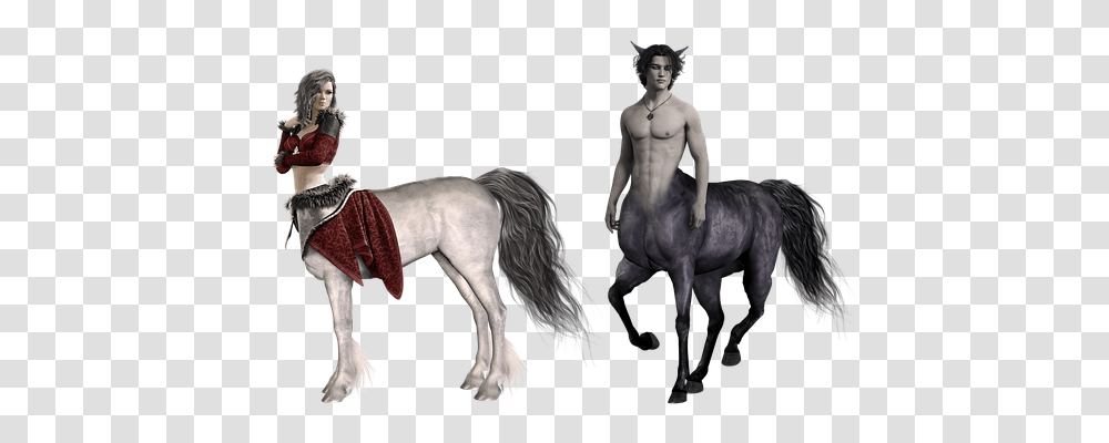 Centaur Person, Horse, Mammal, Animal Transparent Png