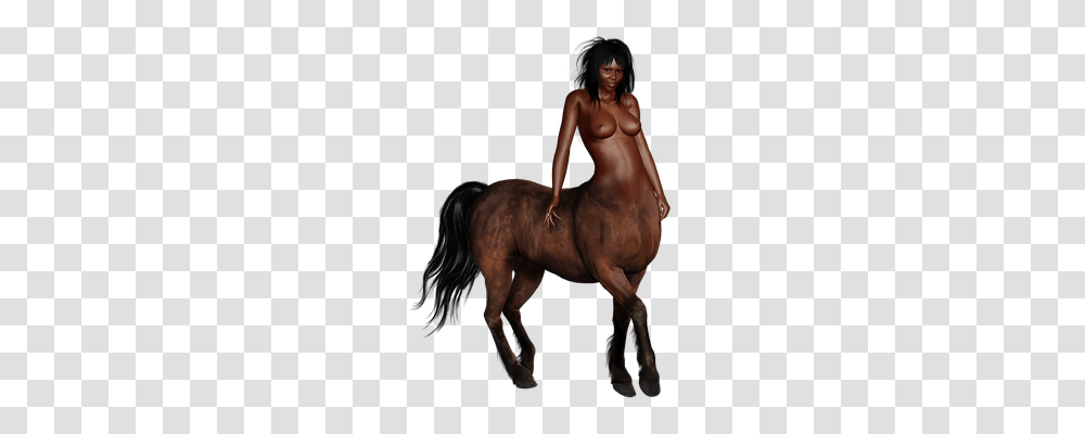 Centaur Person, Horse, Mammal, Animal Transparent Png