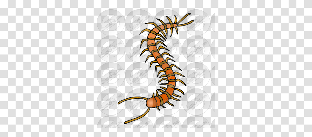 Centipede Clipart Orange, Animal, Reptile, Snake, King Snake Transparent Png
