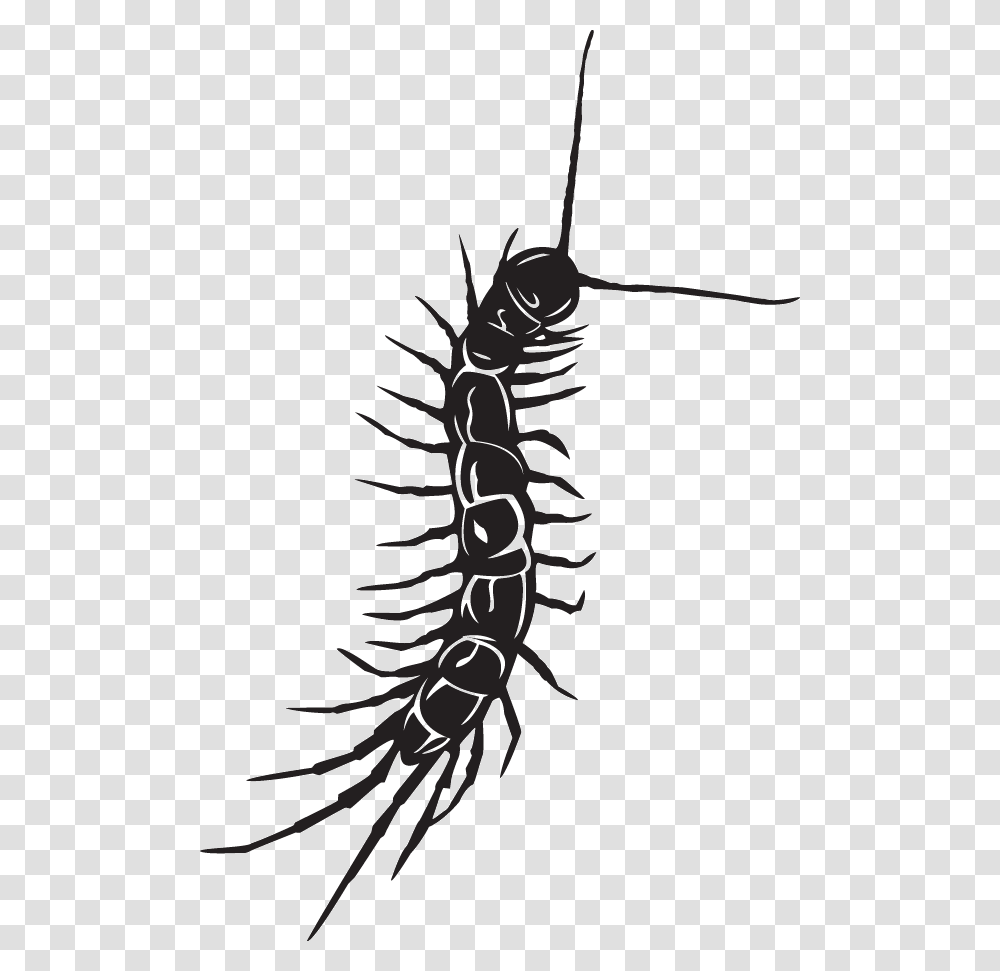 Centipede Decal, Insect, Invertebrate, Animal, Aphid Transparent Png