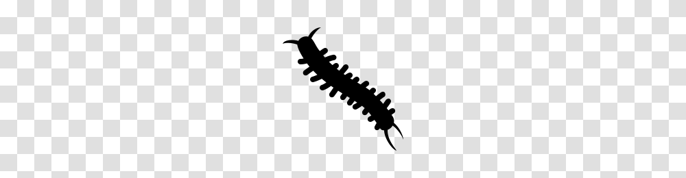 Centipede Icons Noun Project, Gray, World Of Warcraft Transparent Png