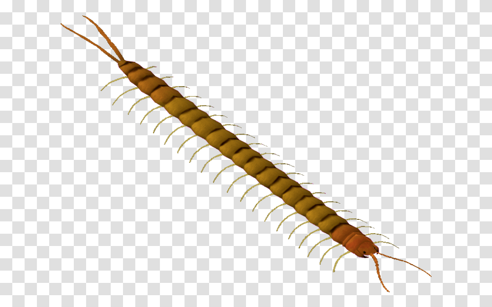 Centipede Legs Millipedes, Machine, Screw Transparent Png