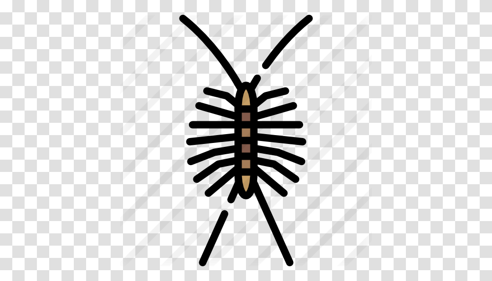 Centipede, Outdoors, Nature, Sea, Weapon Transparent Png