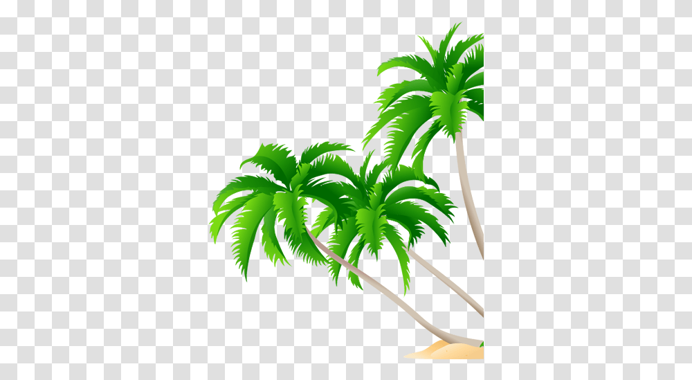 Central Commerce Court High Resolution Coconut Tree High Resolution Coconut Tree, Plant, Palm Tree, Arecaceae, Green Transparent Png