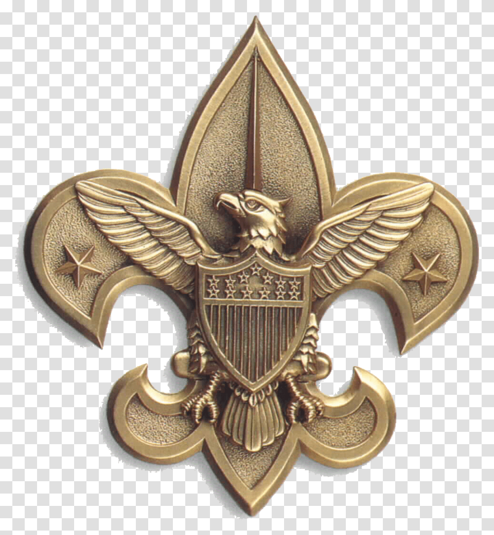 Central Florida Council Eagle Scout Scouting Boy Scouts Boy Scout Thank You, Bronze, Gold, Logo Transparent Png
