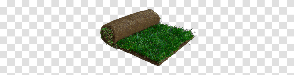 Central Sod Farms Inc, Moss, Plant, Grass, Food Transparent Png