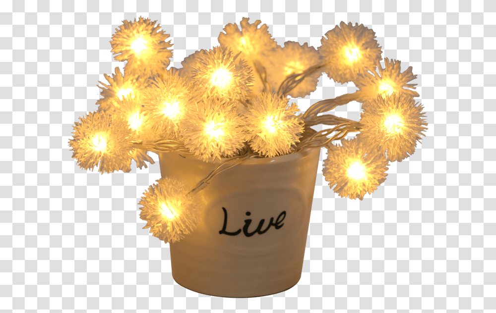 Centrepiece, Lighting, Plant, Lamp, Candle Transparent Png