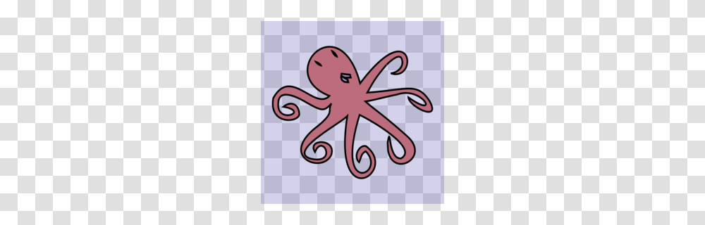 Cephalopod Clipart, Sea Life, Animal, Invertebrate, Octopus Transparent Png