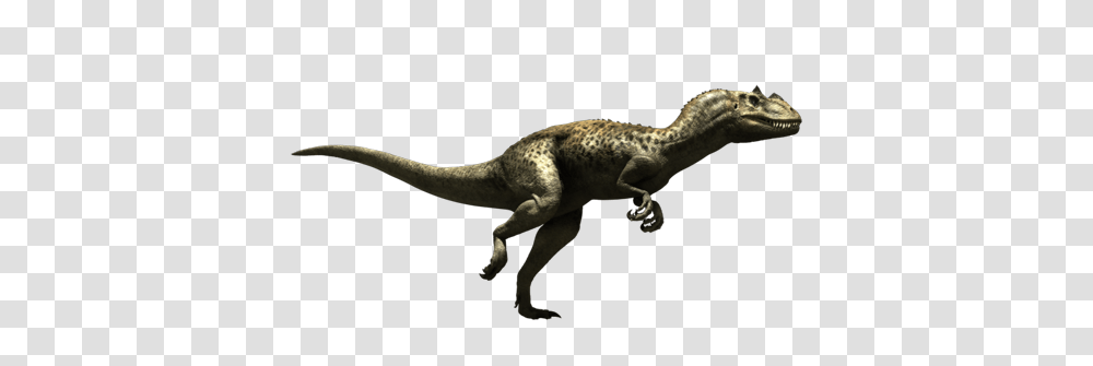 Ceratosaurus, Fantasy, Dinosaur, Reptile, Animal Transparent Png