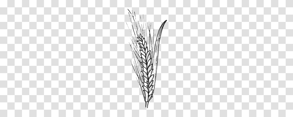 Cereals Technology, Plant, Tree, Spire Transparent Png