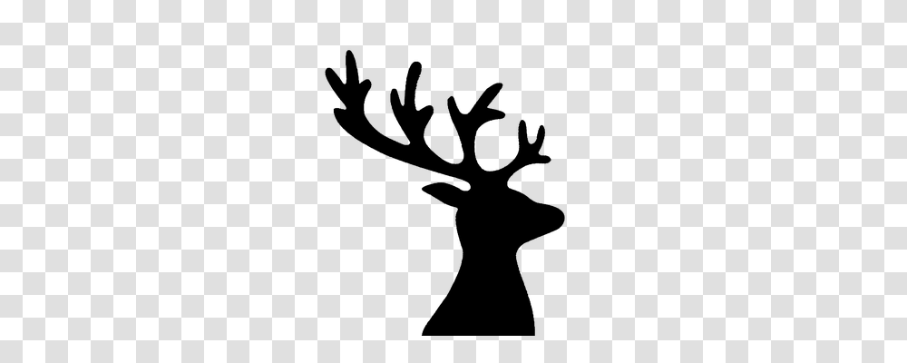 Cerf Nature, Gray, World Of Warcraft Transparent Png