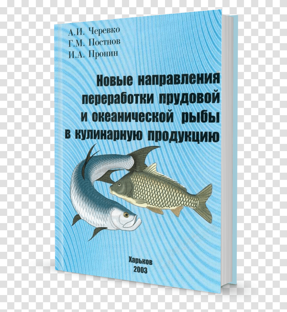 Certificado De Antecedentes Disciplinarios, Mullet Fish, Sea Life, Animal, Carp Transparent Png